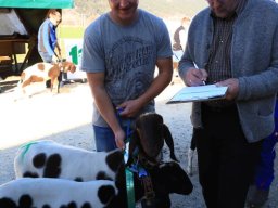 2019_ausstellung polling_748